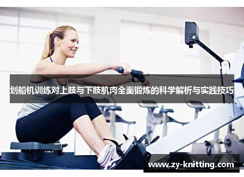 划船机训练对上肢与下肢肌肉全面锻炼的科学解析与实践技巧