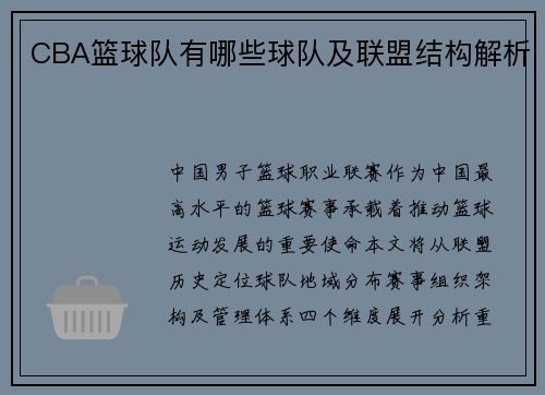 CBA篮球队有哪些球队及联盟结构解析
