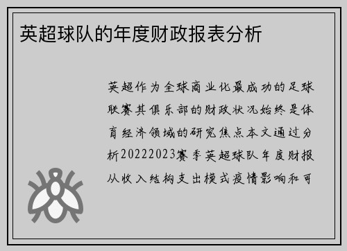 英超球队的年度财政报表分析